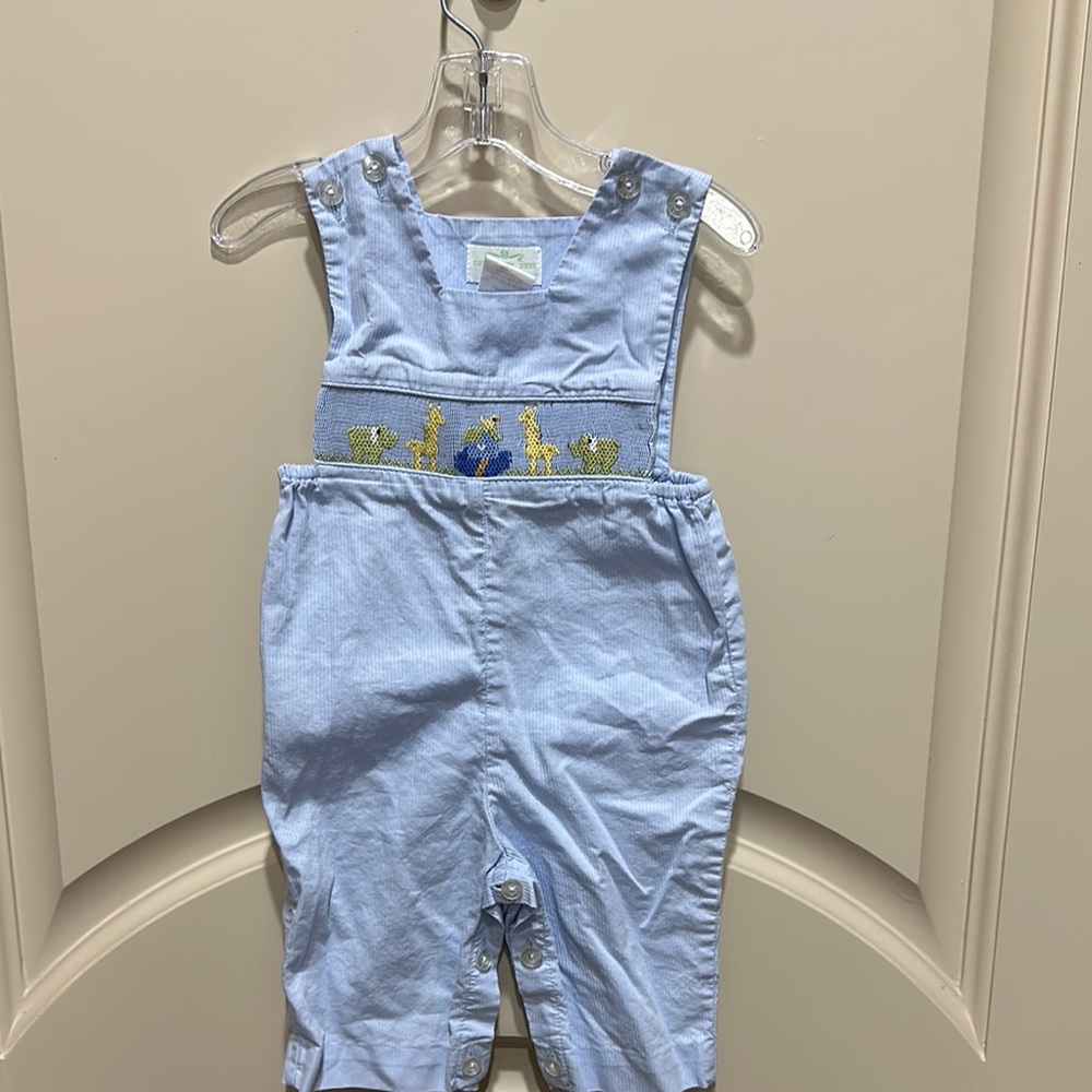 Charming Blue Denim Overalls with Bib Front